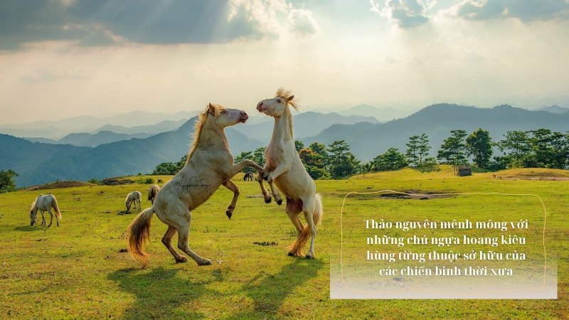 soan-bai-duong-vao-trung-tam-vu-tru-lop-7 soạn bài đường vào trung tâm vũ trụ lớp 7