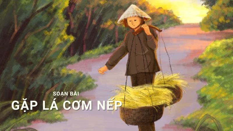 soan-bai-gap-com-la-nep soạn bài gặp lá cơm nếp