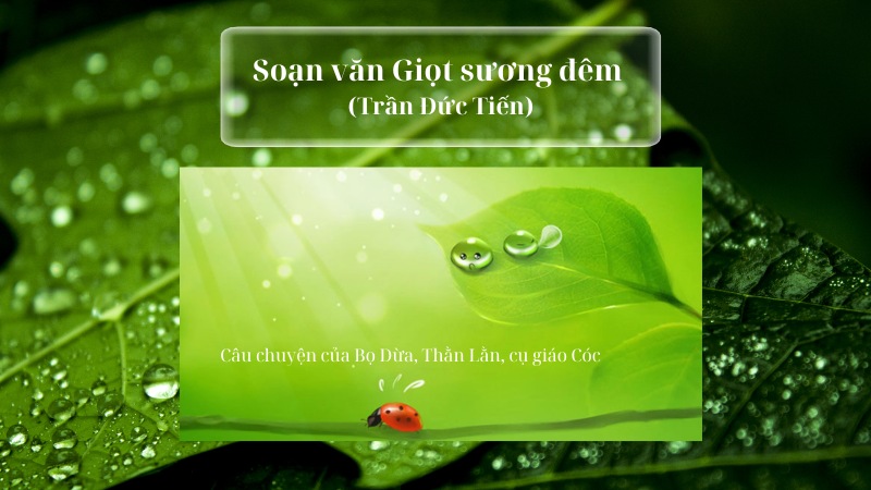soan-bai-giot-suong-dem-1 soạn bài giọt sương đêm