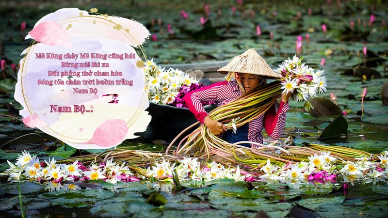 soan-bai-go-me soạn bài gò me