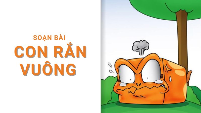 soan-bai-khoe-cua-va-con-ran-vuong-1 Soạn bài Khoe của và Con rắn vuông