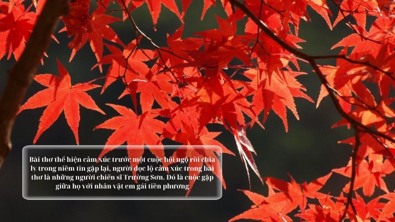 soan-bai-la-do-lop-8-ket-noi-tri-thuc soạn bài lá đỏ lớp 8 kết nối tri thức