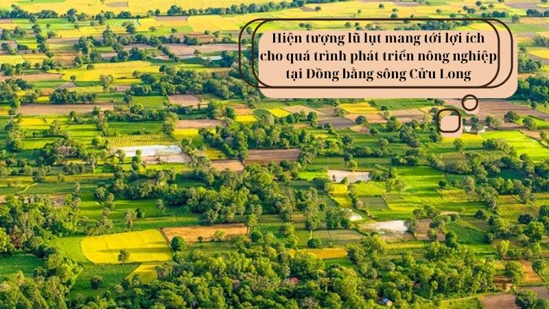 soan-bai-mien-chau-tho-song-cuu-long-can-chuyen-doi-tu-song-chung-sang-chao-don-lu-lop-8 soạn bài Miền châu thổ sông Cửu Long cần chuyển đổi từ sống chung sang chào đón lũ lớp 8