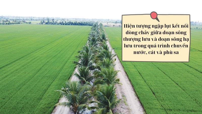 soan-bai-mien-chau-tho-song-cuu-long-can-chuyen-doi-tu-song-chung-sang-chao-don-lu soạn bài Miền châu thổ sông Cửu Long cần chuyển đổi từ sống chung sang chào đón lũ