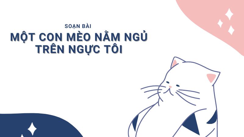 soan-bai-mot-con-meo-nam-ngu-tren-nguc-toi-van-lop-7 Soạn bài Một con mèo nằm ngủ trên ngực tôi văn lớp 7