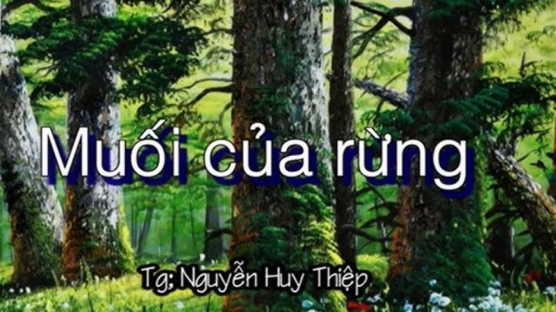 soan-bai-muoi-cua-rung-1 soạn bài muối của rừng