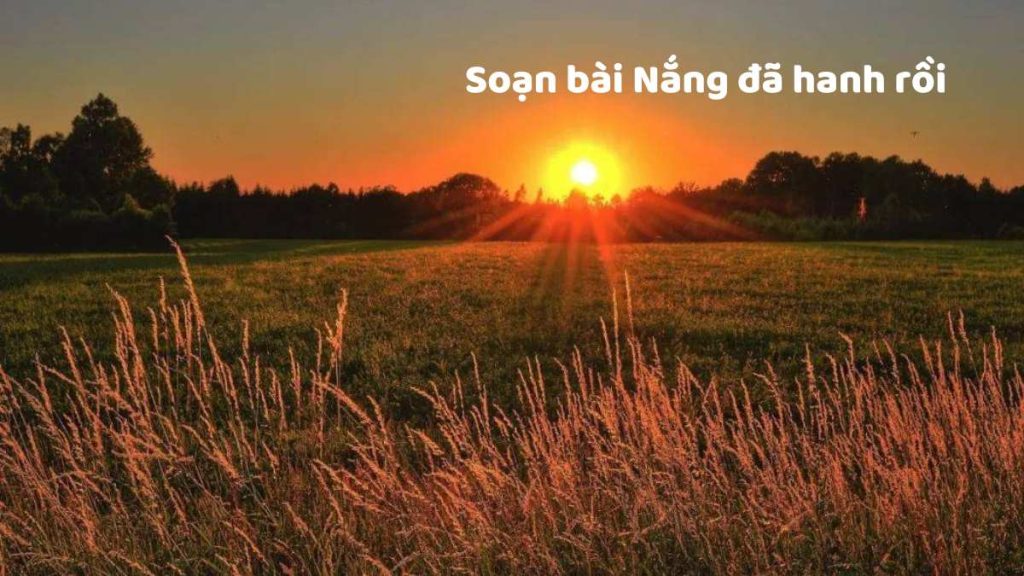 Soạn bài Nắng đã hanh rồi của tác giả Vũ Quần Phương