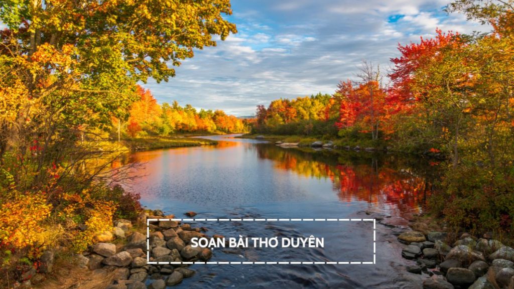 Soạn bài Thơ duyên của Xuân Diệu (Chân trời sáng tạo ngữ văn 10)