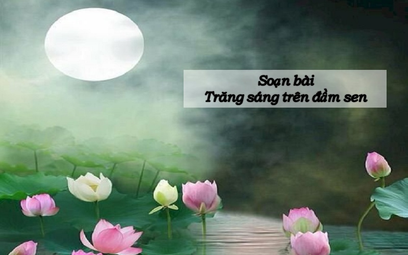 Soạn bài Trăng sáng trên đầm sen lớp 11 (Chân trời sáng tạo)