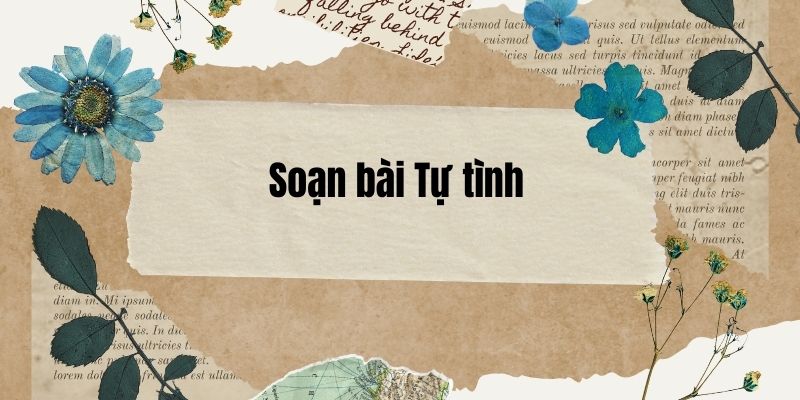 Soạn bài Tự tình (trang 47, 48) – Cánh diều