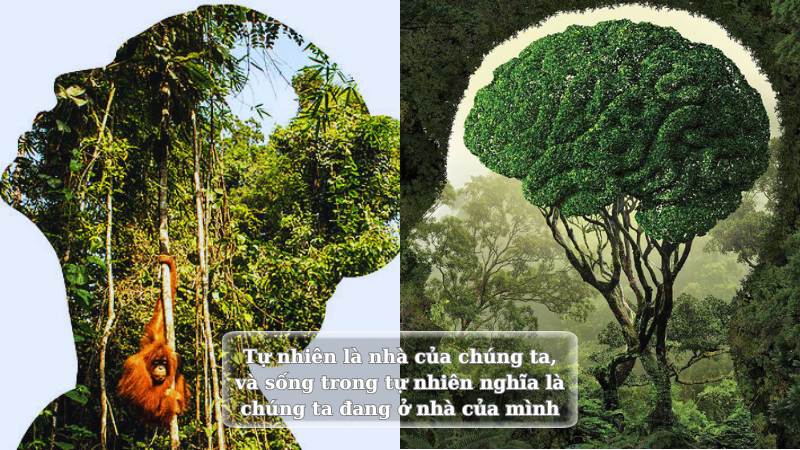 soan-bai-ve-chinh-chung-ta-ket-noi-tri-thuc soạn bài về chính chúng ta kết nối tri thức