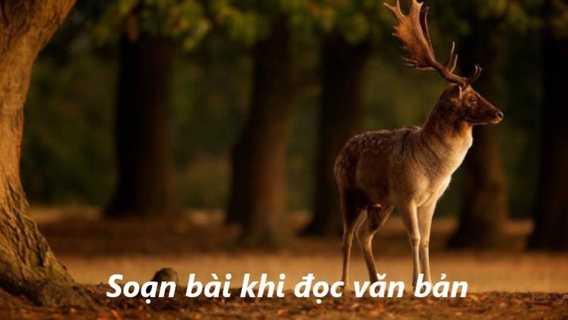 soan-ban-hoa-am-ngon-tu-trong-tieng-thu-cua-luu-trong-lu soạn bản hòa âm ngôn từ trong tiếng thu của lưu trọng lư