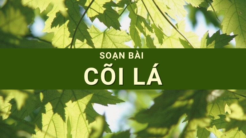 soan-coi-la-1 soạn cõi lá