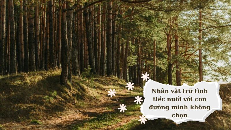 soan-con-duong-khong-chon soạn con đường không chọn