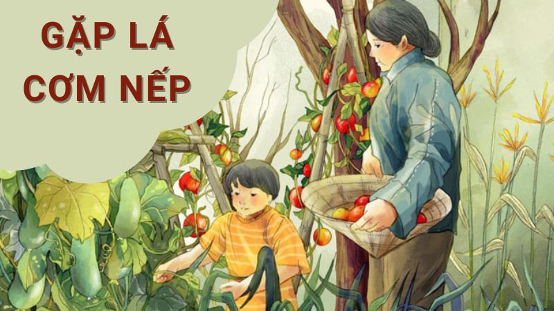 soan-gap-com-la-nep soạn gặp cơm lá nếp