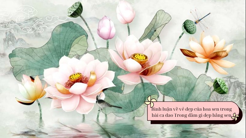 soan-hinh-anh-hoa-sen-trong-bai-ca-dao-trong-dam-gi-dep-bang-sen-chi-tiet-1 soạn hình ảnh hoa sen trong bài ca dao trong đầm gì đẹp bằng sen ngắn nhất