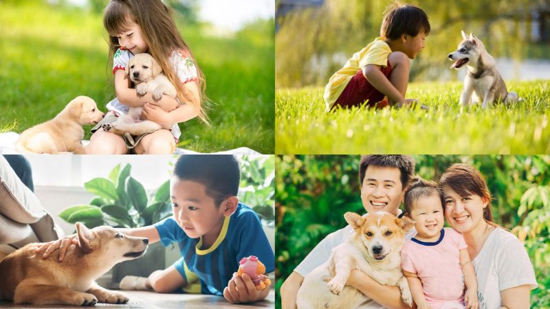 soan-mot-con-meo-nam-ngu-tren-nguc-toi Soạn Một con mèo nằm ngủ trên ngực tôi