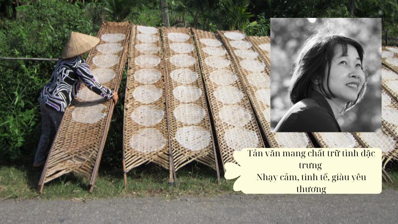 soan-mua-phoi-san-truoc soạn mùa phơi sân trước