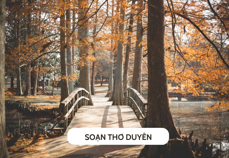 soan-tho-duyen soạn thơ duyên