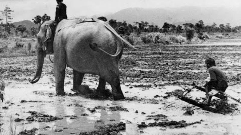 soan-van-10-di-san-mat-dat soạn văn 10 đi san mặt đất