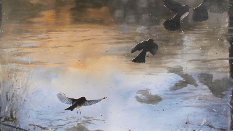 soan-van-7-bay-chim-chia-voi soạn văn 7 bầy chim chìa vôi