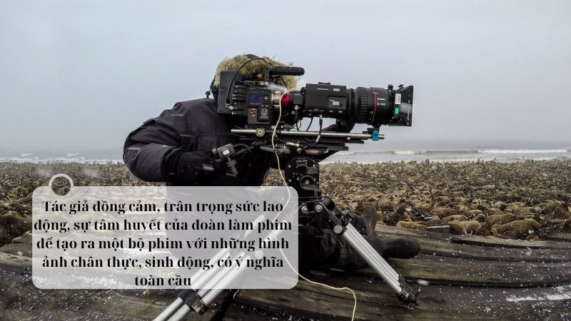 soan-van-8-choang-ngop-va-dau-don-nhung-canh-bao-tu-loat-phim-hanh-tinh-cua-chung-ta soạn văn 8 choáng ngợp và đau đớn những cảnh báo từ loạt phim hành tinh của chúng ta