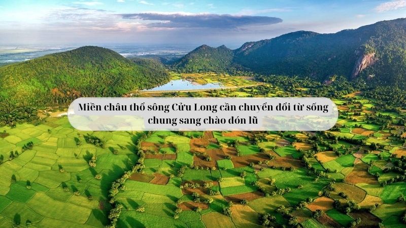 soan-van-8-mien-chau-tho-song-cuu-long-can-chuyen-doi-tu-song-chung-sang-chao-don-lu-1 soạn văn 8 Miền châu thổ sông Cửu Long cần chuyển đổi từ sống chung sang chào đón lũ