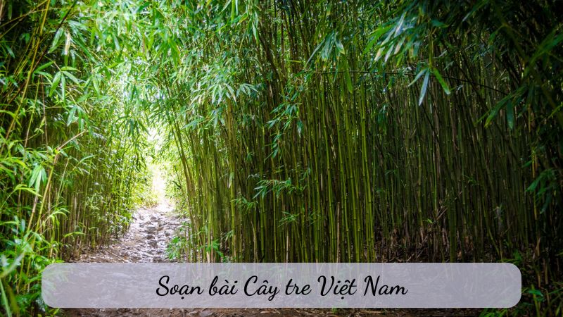 soan-van-bai-cay-tre-viet-nam-1 soạn văn bài Cây tre Việt Nam