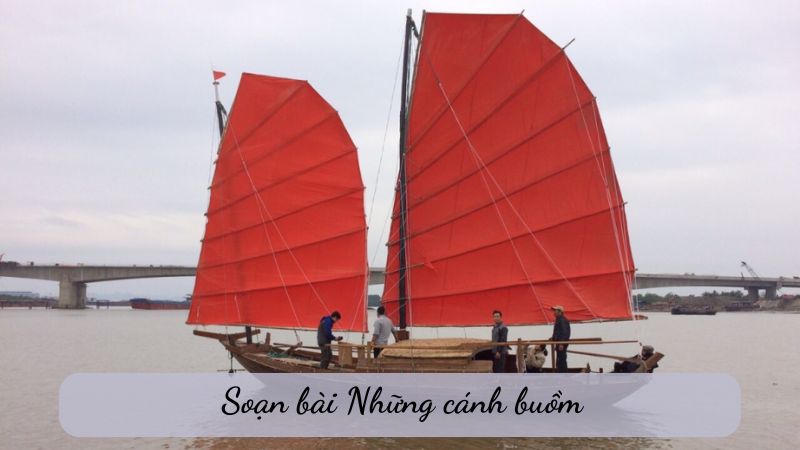 Soạn bài Những cánh buồm – Hướng dẫn chi tiết và dễ hiểu nhất