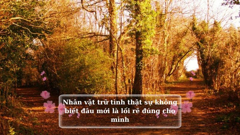 soan-van-con-duong-khong-chon soạn văn con đường không chọn