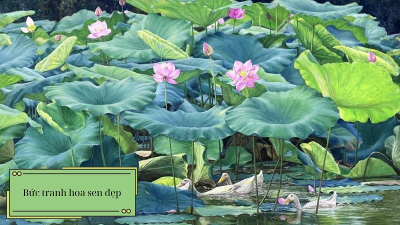 soan-van-hinh-anh-hoa-sen-trong-bai-ca-dao-trong-dam-gi-dep-bang-sen soạn văn hình ảnh hoa sen trong bài ca dao trong đầm gì đẹp bằng sen