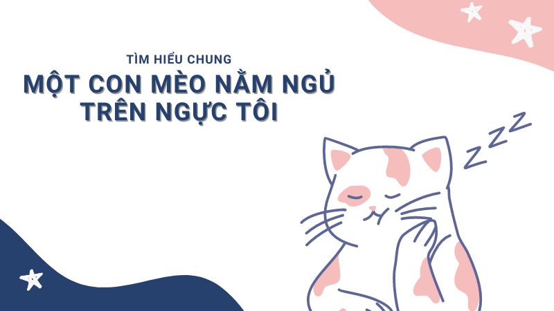 soan-van-mot-con-meo-nam-ngu-tren-nguc-toi Soạn văn Một con mèo nằm ngủ trên ngực tôi