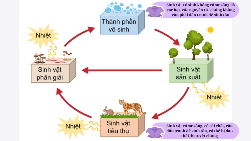 soan-van-su-song-va-cai-chet soạn văn sự sống và cái chết