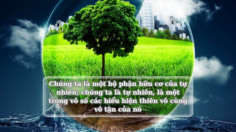 soan-ve-chinh-chung-ta soạn về chính chúng ta