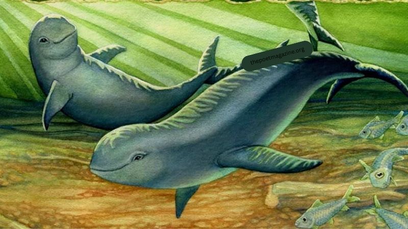 su-tich-ca-he-1-1 Sự tích cá He