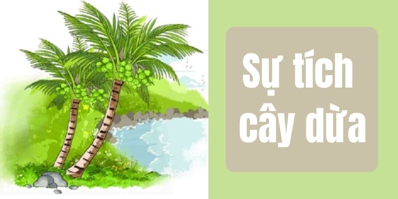 su-tich-cay-dua-1 sự tích cây dừa