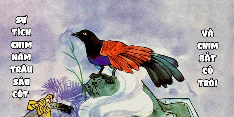 Truyện cổ tích Việt Nam: Sự tích chim năm trâu sáu cột và chim bắt cô trói