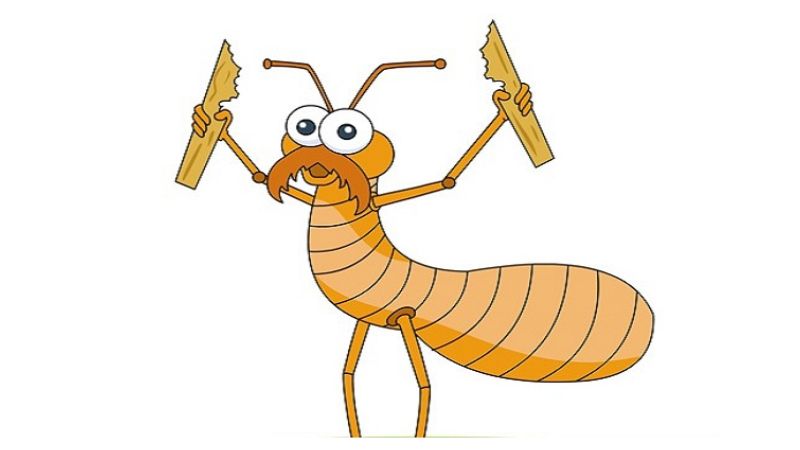 su-tich-con-moi-1 Sự tích con mối