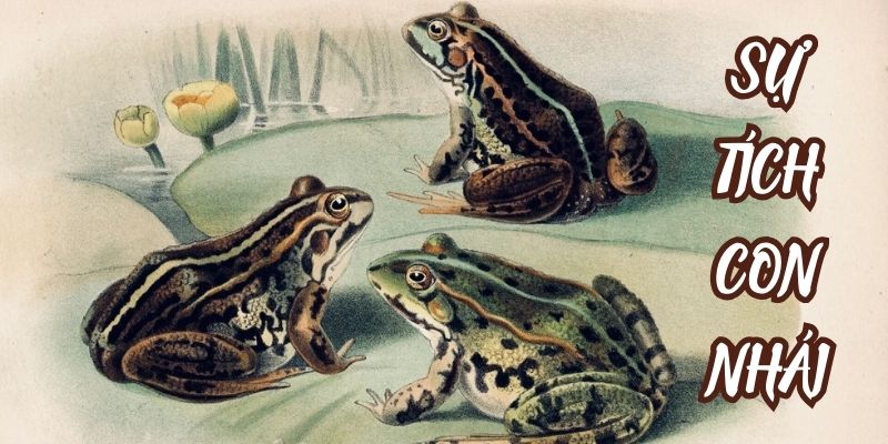 su-tich-con-nhai-3 Sự tích con nhái