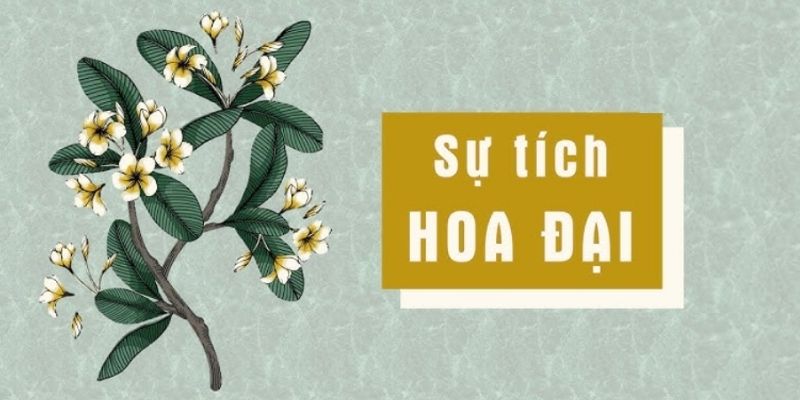 su-tich-hoa-dai-1 sự tích hoa đại