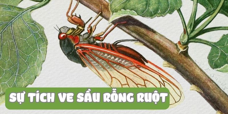 su-tich-ve-sau-rong-ruot-1 Sự tích ve sầu rỗng ruột