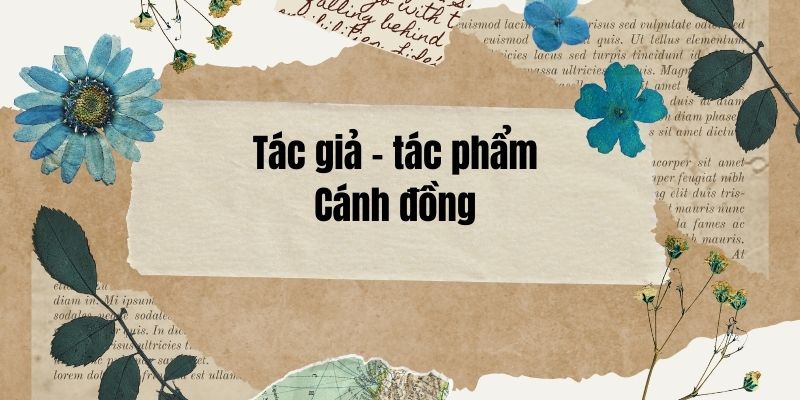 Tác giả – tác phẩm: Cánh đồng – Ngữ văn lớp 10 Kết nối tri thức