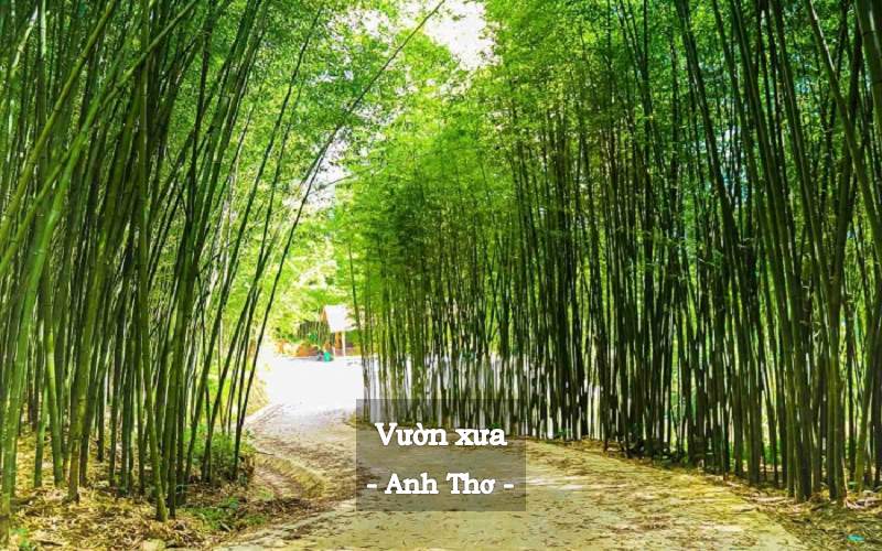 tac-pham-cua-anh-tho Tác phẩm của Anh Thơ