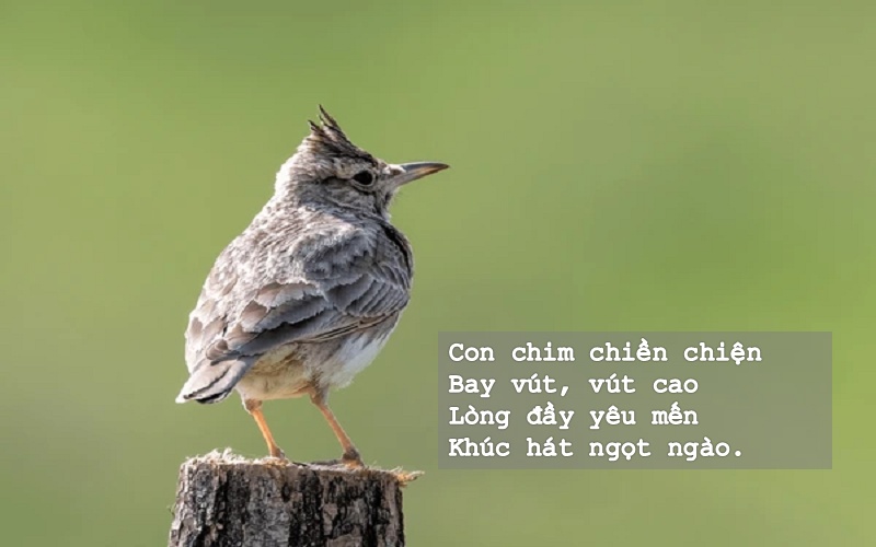 tac-pham-cua-huy-can Tác phẩm của Huy Cận