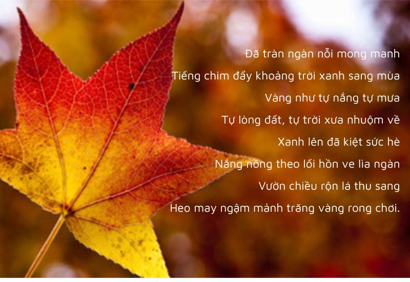 tac-pham-thu-sang tác phẩm thu sang