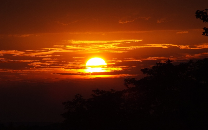 tac-pham-tieu-bieu-cua-cao-ba-quat Tác phẩm tiêu biểu của Cao Bá Quát