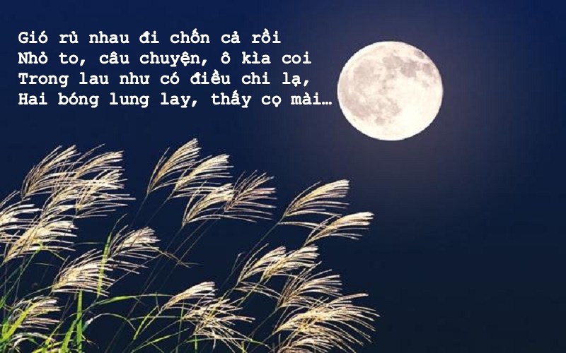 tac-pham-tieu-bieu-cua-han-mac-tu Tác phẩm tiêu biểu của Hàn Mặc Tử