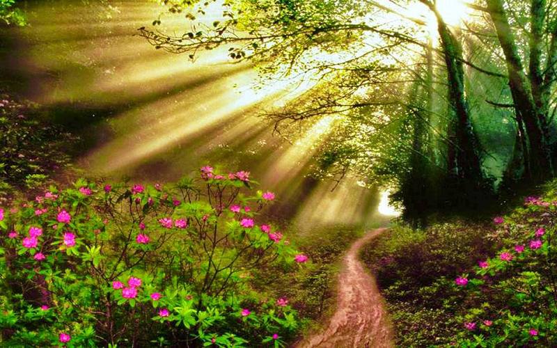 tac-pham-tieu-bieu-nguyen-dinh-thi Tác phẩm tiêu biểu Nguyễn Đình Thi