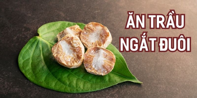 tai-sao-co-tuc-an-trau-ngat-duoi-1 Tại sao có tục: “Ăn trầu ngắt đuôi”