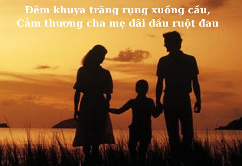 thanh-ngu-tuc-ngu-noi-ve-su-hieu-thao-cua-con-cai-voi-cha-me thành ngữ tục ngữ nói về sự hiếu thảo của con cái với cha mẹ